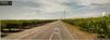 Rogers Road photo